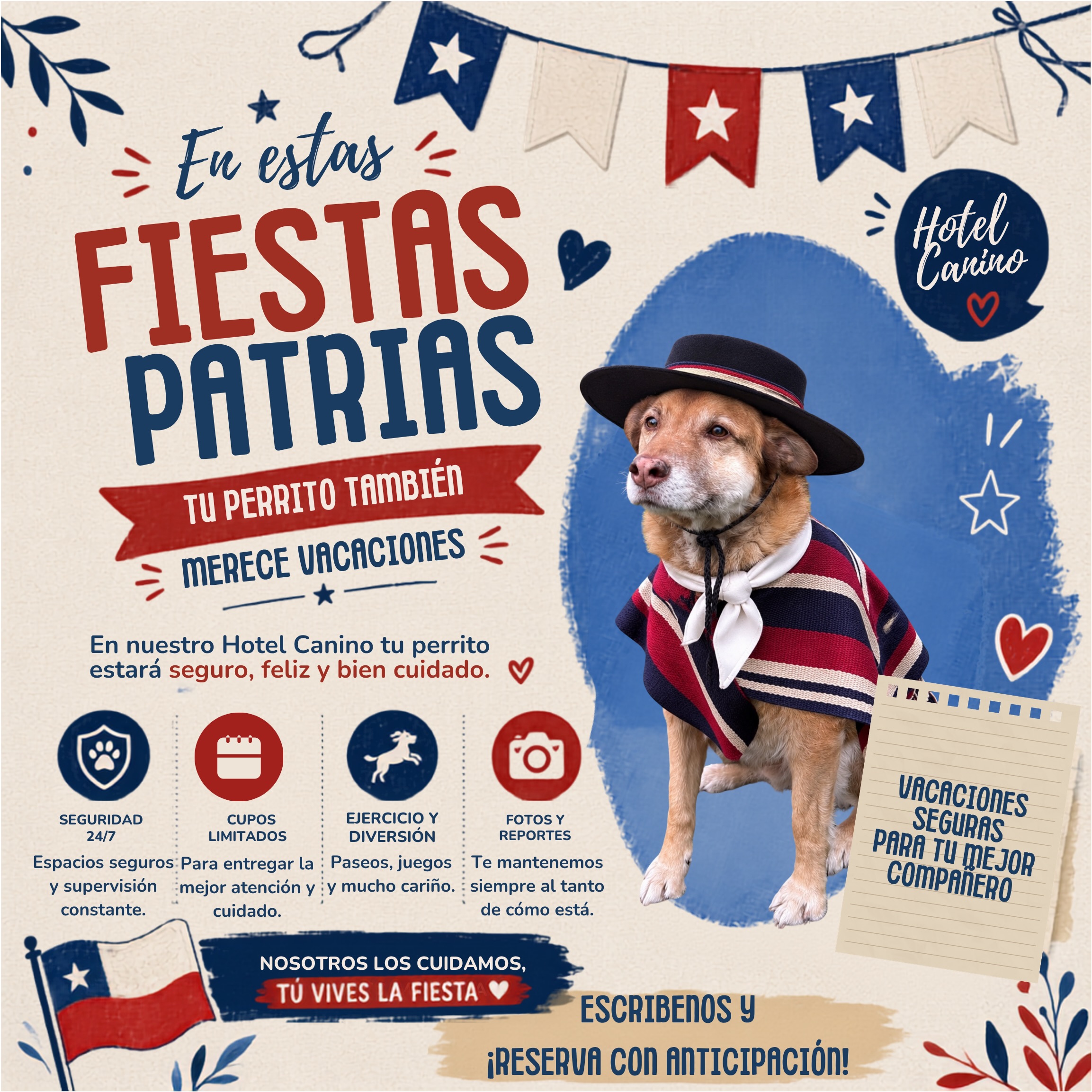 Publicación de Patitas en Ruta sobre su hotel canino
